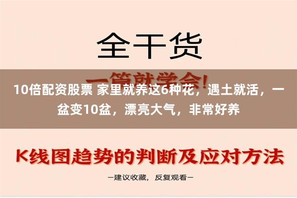 10倍配资股票 家里就养这6种花，遇土就活，一盆变10盆，漂亮大气，非常好养