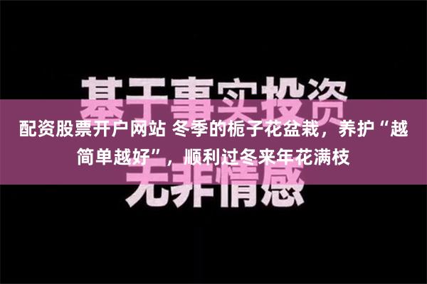 配资股票开户网站 冬季的栀子花盆栽，养护“越简单越好”，顺利过冬来年花满枝