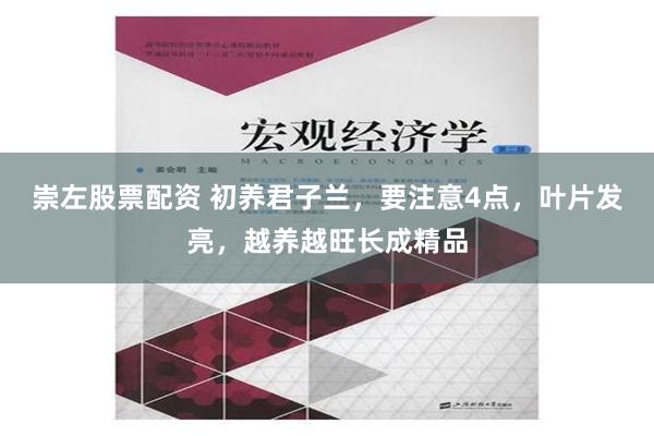 崇左股票配资 初养君子兰，要注意4点，叶片发亮，越养越旺长成精品