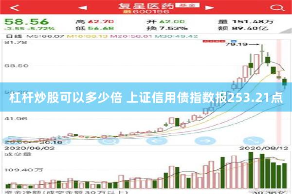 杠杆炒股可以多少倍 上证信用债指数报253.21点