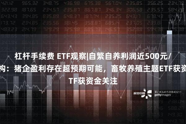 杠杆手续费 ETF观察|自繁自养利润近500元/头，机构：猪企盈利存在超预期可能，畜牧养殖主题ETF获资金关注