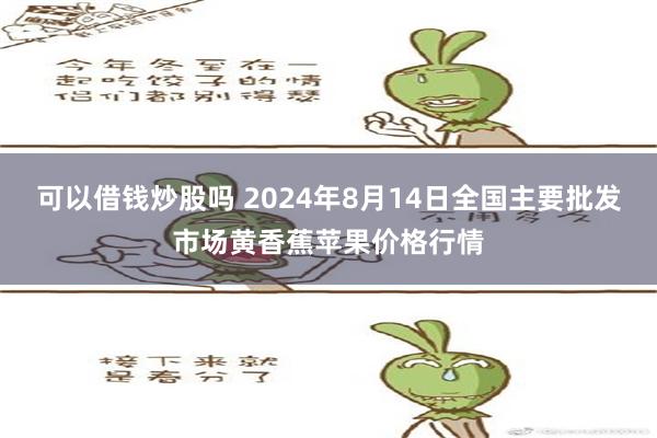 可以借钱炒股吗 2024年8月14日全国主要批发市场黄香蕉苹果价格行情