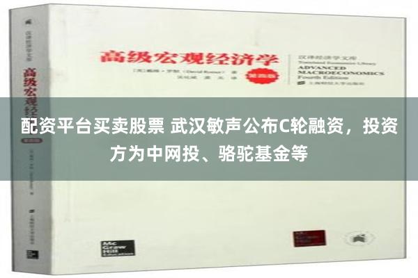 配资平台买卖股票 武汉敏声公布C轮融资，投资方为中网投、骆驼基金等