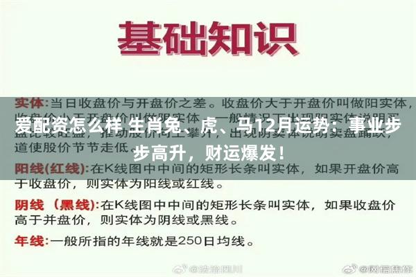 爱配资怎么样 生肖兔、虎、马12月运势：事业步步高升，财运爆发！