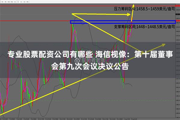 专业股票配资公司有哪些 海信视像：第十届董事会第九次会议决议公告